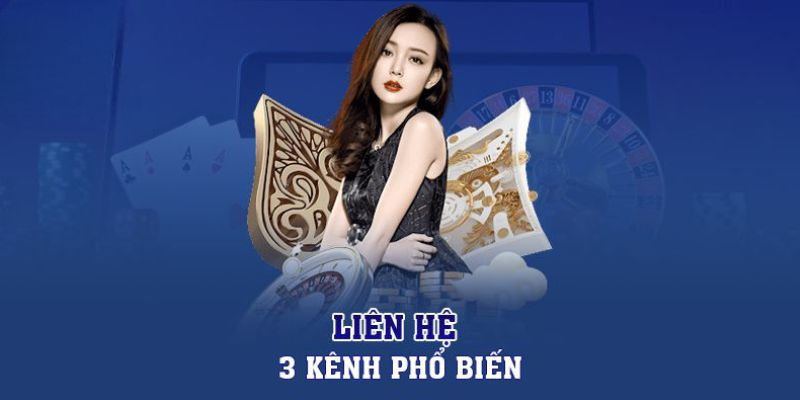 Liên Hệ Vip88, Hỗ Trợ Nhanh Chóng, Giải Đáp Mọi Thắc Mắc